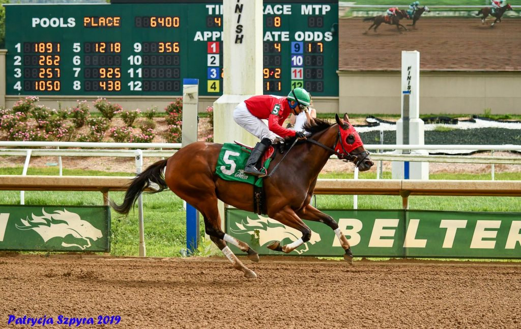 Conjuring Wins Fifth of Career Pocket Aces Racing