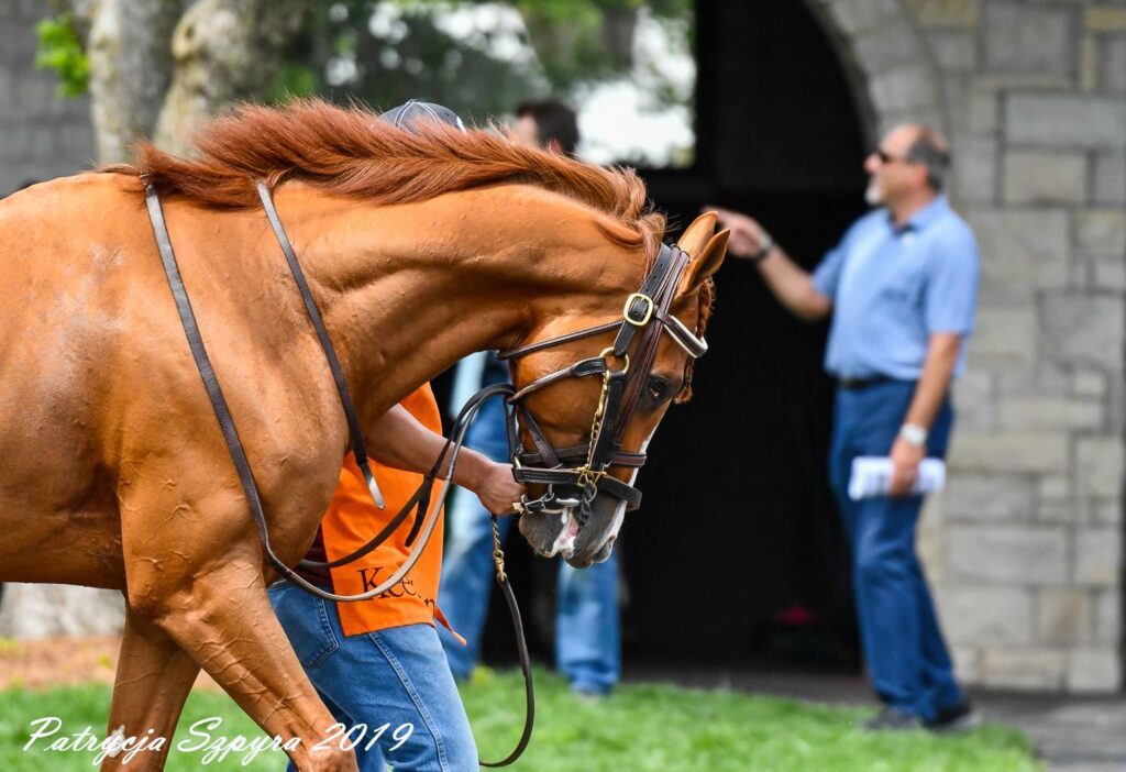 Our Stable Pocket Aces Racing